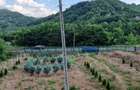Casă cu 2 camere cu Teren 2700 Mp în Mânzălești - 1