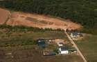 LOT DE VANZARE cu deschidere la padurea Snagov - 7