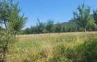 Proprietar vand 2 hectare teren extravilan - 7
