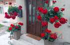Apartament cu 3 camere decomandat în Central - 1