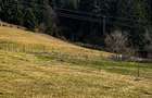 Teren intravilan 6.260 mp Vidra Alba langa Arie? | utilita?i | se poate impar?i - 5