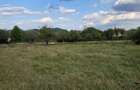 Vanzare teren Campina - 3