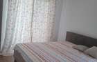 Apartament de inchiriat 2 camere Dumbravita - 2