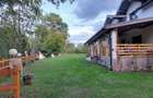 Locatie de inchiriat Ibanesti, Mures - 4