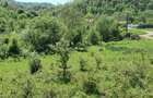 Teren intravilan de 5850 mp, în Crușovița - 4