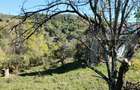 Teren intravilan de 2406 mp, în Central - 8