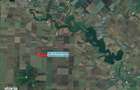 Vand teren arabil (3 ha) in Gurbanesti, jud. C - 7