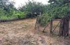 Casa si teren de vanzare Terchesti Vrancea - 3