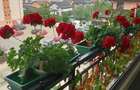 Apartament cu 2 camere semidecomandat în Valea Adâncă - 2