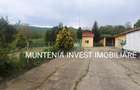 Proprietate de vanzare tip ferma, teren 28150 mp. Balilesti, Arges - 9
