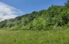 Teren extravilan de 28500 mp, în Gușterița - 11