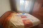 Apartament 2 camere Dr Taberei -Bd Timisoara - 6