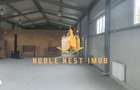 Hala industriala + sere + active business de vanzare Arges - 6