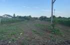 Teren 2248 mp Moara Vlasiei | Apa, gaz, canal, curent | Asfalt | Scoli | STB - 4