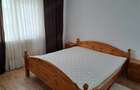 Inchiriez apartament Nufarul - 3