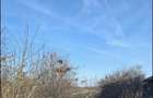 Teren Calugareni Giurgiu 2600 mp