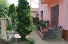 casa de vanzare zona crisan - 6