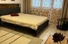 Inchiriez apartament 3 camere+garaj+curte proprie Avram Iancu - 3