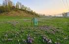 Teren intravilan 6.839 mp Manastirea Humorului , Bucovina - 5