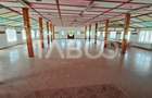 Spațiu comercial, de 670 mp, în Vințu de Jos - 1