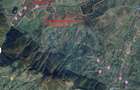 Teren intravilan de 4312 mp, în Tohănița - 9