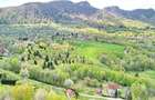 Teren de 5000 mp, în Predeluț - 3