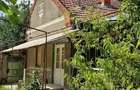 Casă cu 6 camere în Zărand - 9