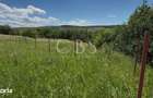 Exclusivitate!Com0%!Teren intravilan 985mp in Chinteni Str Plopilor au - 1