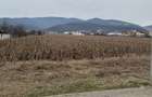 Teren intravilan de vanzare pentru Blocuri Alba - Micesti partea stang - 2