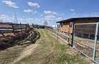 Cabana Maguri Racatau, 38000 eur - 9
