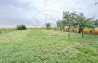 Casă individuală cu 2 camere cu Teren 1525 Mp în Carei - 10