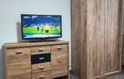 Apartament 1 camera confort de inchiriat Str. Horea - 2