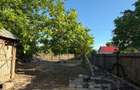 Casa 6 camere, amplasare rurala, 1600mp teren. Pre? u?or negociabil - 10