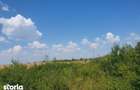 Cota 2/6 din teren extravilan- Localitatea Ghiroda , judetul Timis, - 3