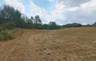 2 Parcele de teren extravilan zona Bradet Pret 3000eur/ar neg usor - 3