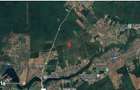 Teren extravilan Snagov, ID: R2884549 - 7