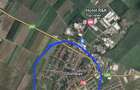 Teren agricol Ghimbav - 1