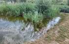Casă cu 3 camere cu Teren 1000 Mp în Bacău - 8