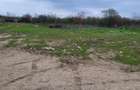 Lot de casa 759 m2, Padure Cernica, vis a vis de manastire, fosta Livada - 1