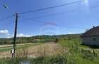 Teren intravilan de 3400 mp, în Copalnic - 8