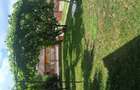 Casa de vanzare intabulata cu 55 ari de gradina .ie si livada.in com .Tritenii de jos jud Cluj . - 1