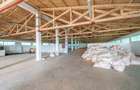 Proprietate specială, de 2,116.5 mp, în Curtuiușu Dejului - 7