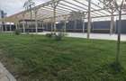 Spatii comerciale de inchiriat pe promenada!!!! - 1