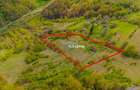 Teren agricol intravilan de 11342 mp, în Poiana Mărului - 6
