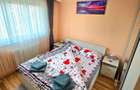 Direct de la Proprietar - Apartament cu 2 camere de inchiriat, cartier Vasile Aaron - 4