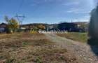 De închiriat: Casa 3 camere si 2 Hale pe 3 000 mp/ Bascov - Argeș