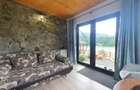 Cabana cu accesc la lac, 1400mp teren Colibita - 18