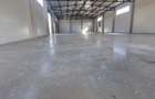 Hala de inchiriat cu sup 599 mp, zona Baciu - 4