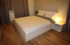 Apartament cu 2 camere semidecomandat în Dumbrăvița - 2