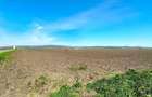 Teren Construcții intravilan de 60000 mp, în Feldioara - 4